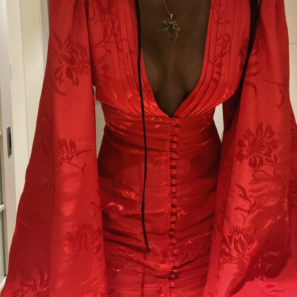 Rat and Boa dress